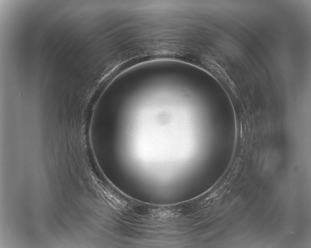 X0000057060249200509161459