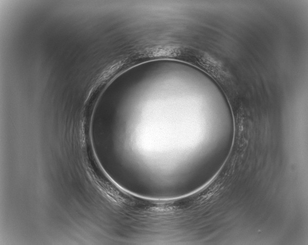 X0000057060250200509161459