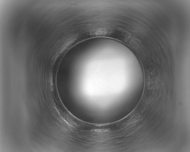 X0000057060251200509161459