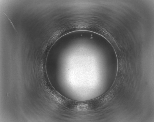 X0000057060257200509161459