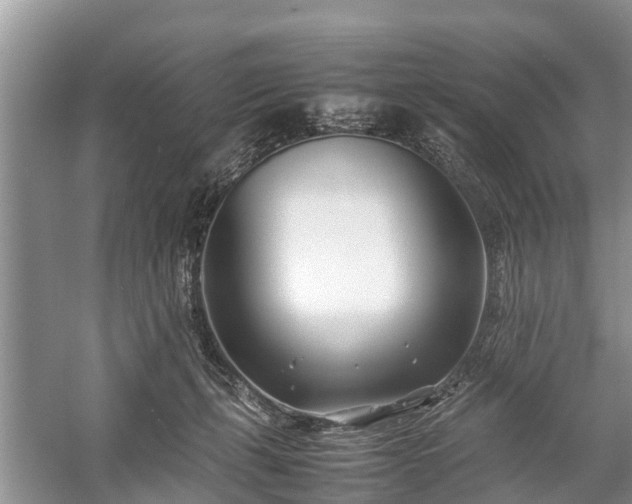 X0000057060271200509161459