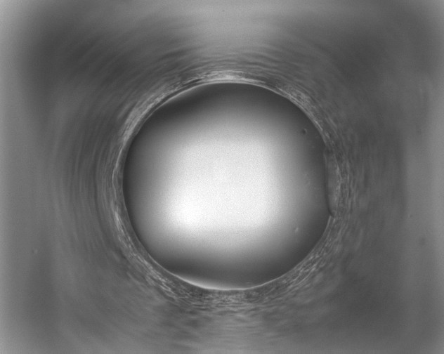 X0000057060289200509161459