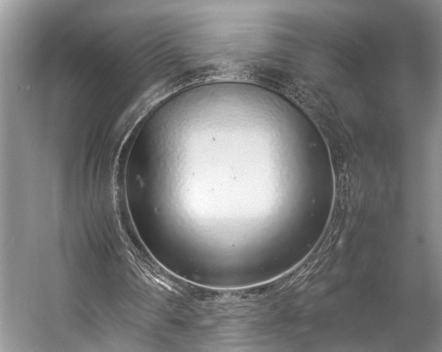 X0000057060290200509161459