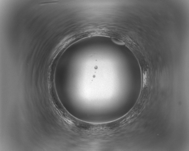 X0000057060291200509161459