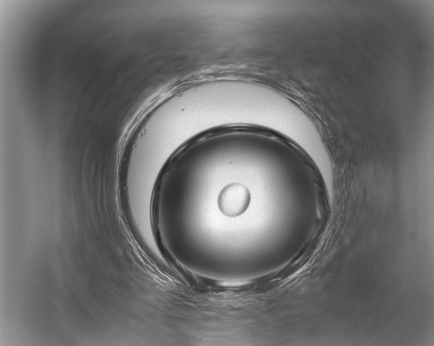 X0000057060293200509161459