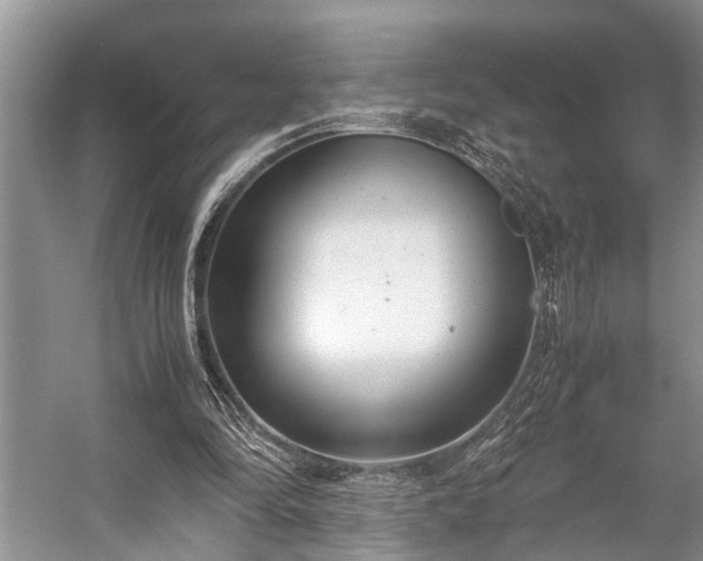 X0000057060294200509161459