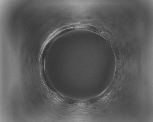 X0000057060295200509161459