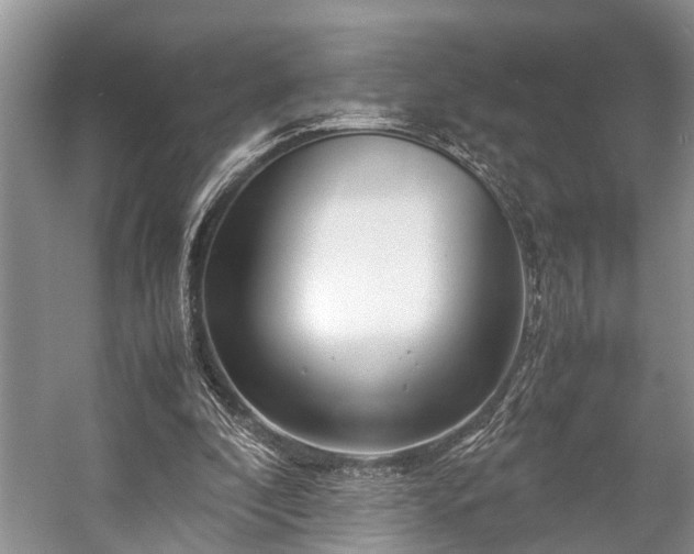 X0000057060296200509161459