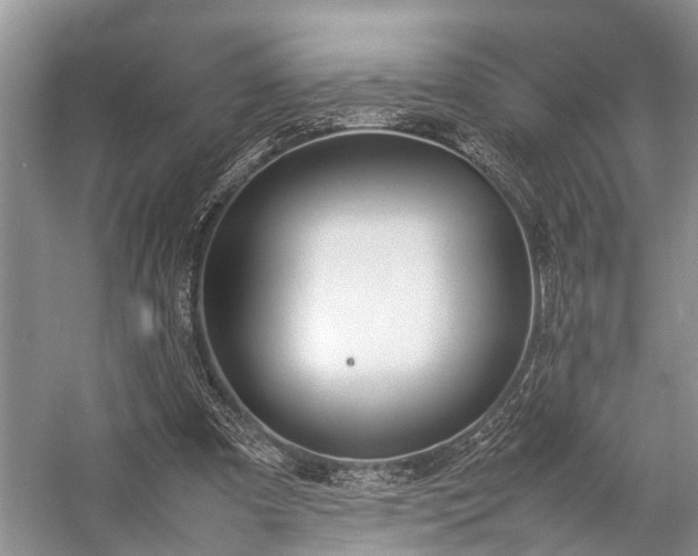 X0000057060297200509161459