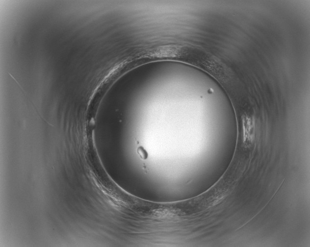 X0000057060300200509161459