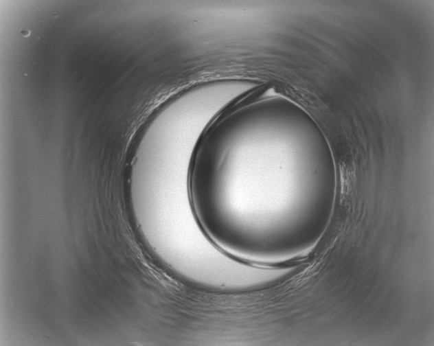 X0000057060301200509161459