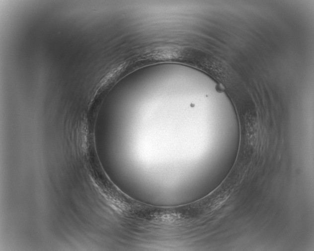 X0000057060304200509161459