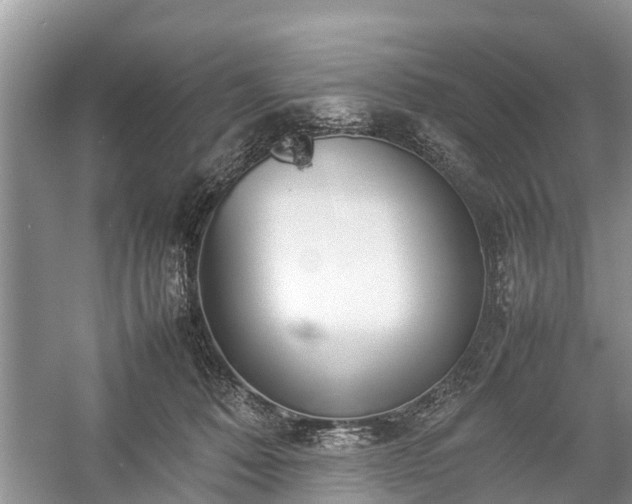 X0000057060320200509161458