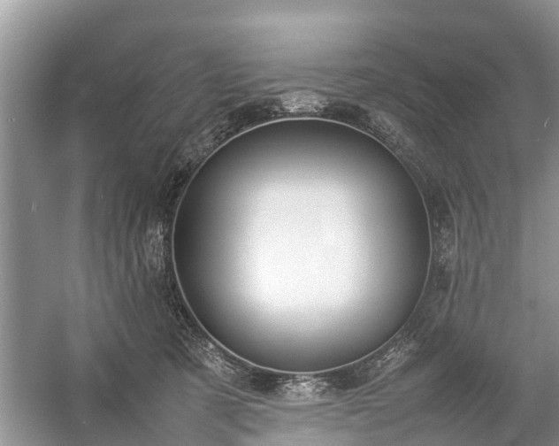 X0000057060321200509161458