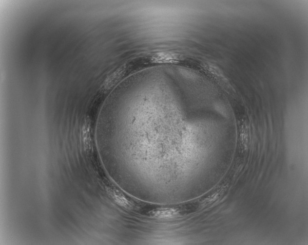 X0000057060322200509161458