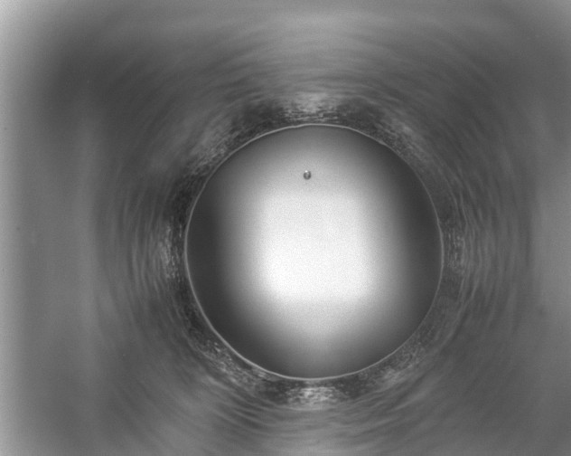 X0000057060324200509161458