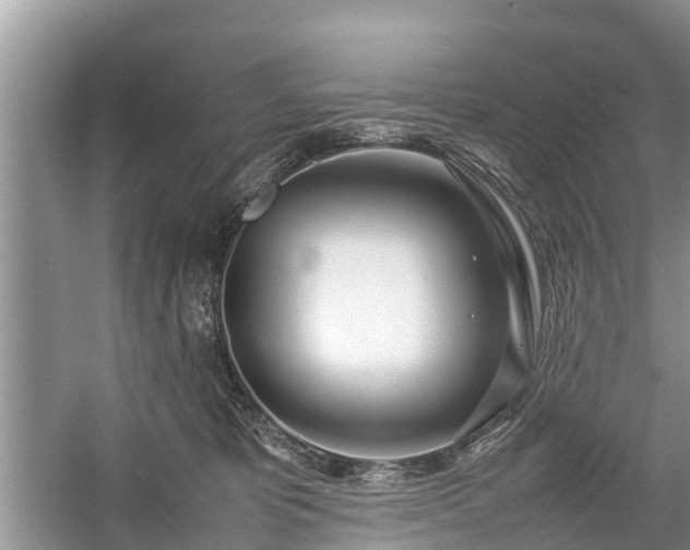 X0000057060325200509161458