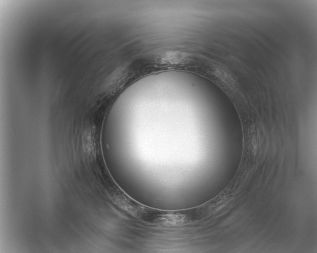 X0000057060328200509161458