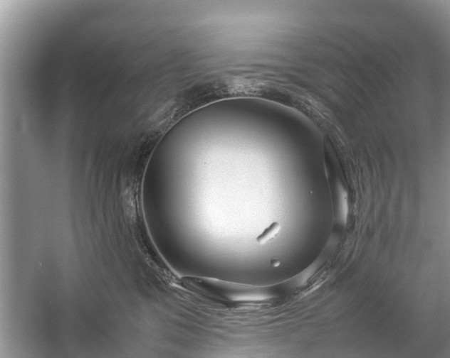 X0000057060329200509161458