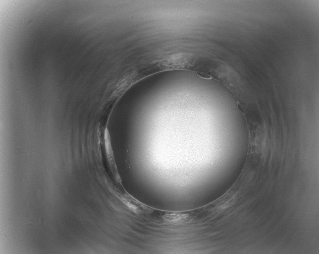 X0000057060334200509161458