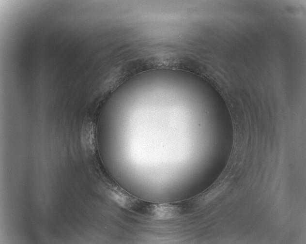 X0000057060336200509161458