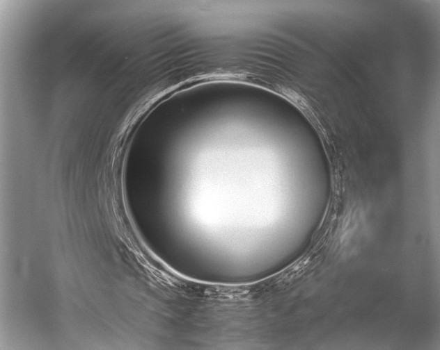 X0000057060337200509161457