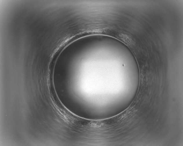 X0000057060346200509161457