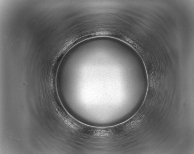 X0000057060347200509161457