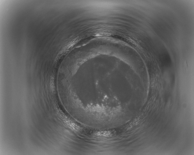 X0000057060353200509161458