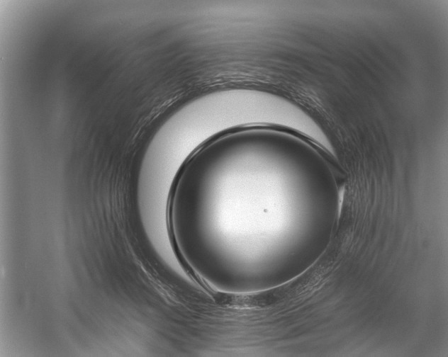 X0000057060360200509161458