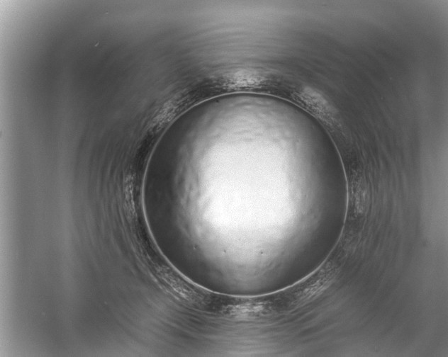 X0000057060366200509161458