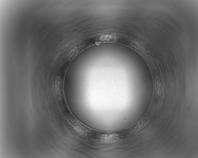 X0000057060375200509161458