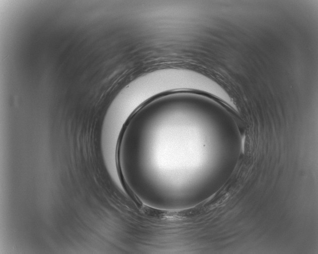 X0000057060376200509161458