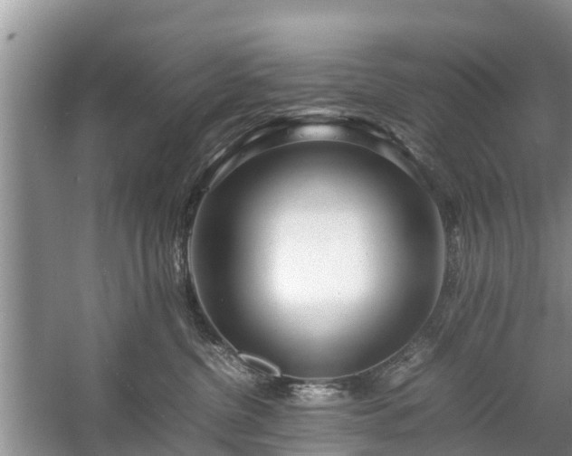 X0000057060380200509161458