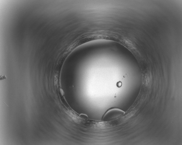 X0000057060382200509161458