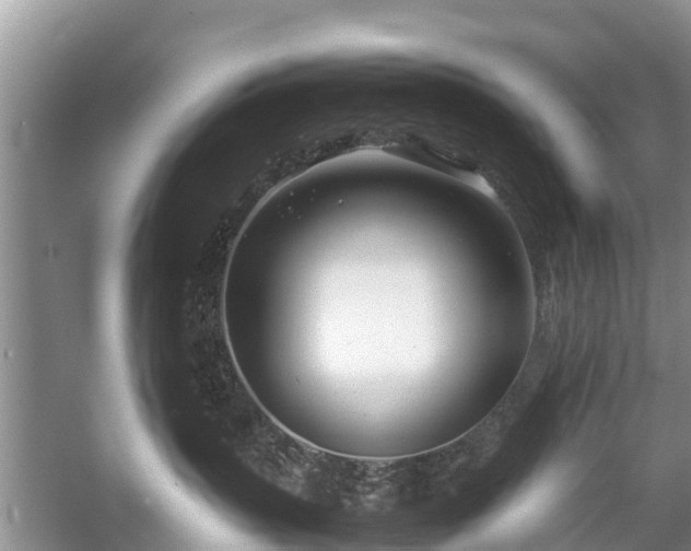 X0000057060383200509161458