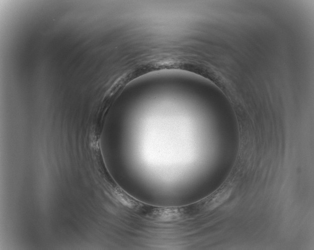 X0000057060384200509161458