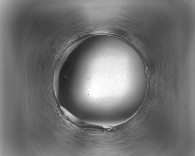 X0000057060385200509161457