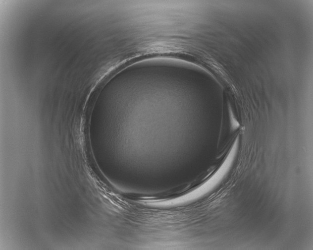 X0000057060387200509161457