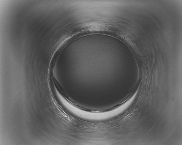 X0000057060391200509161457