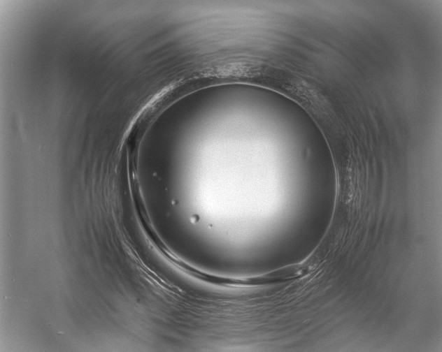 X0000057060392200509161457