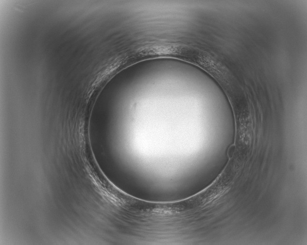 X0000057060394200509161457