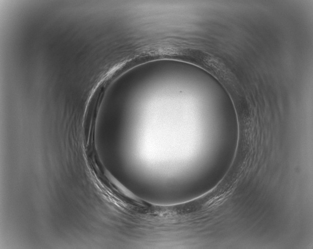 X0000057060395200509161457