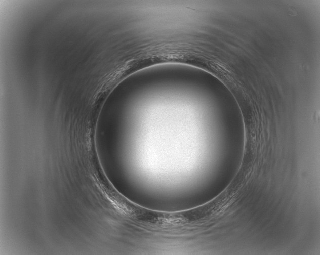 X0000057060401200509161457