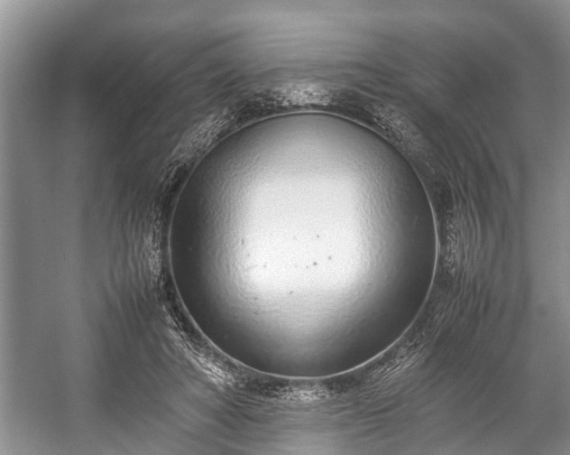 X0000057060402200509161457