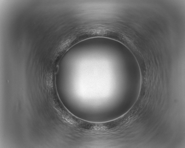 X0000057060403200509161457