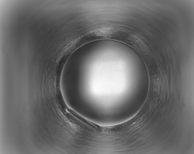 X0000057060404200509161457