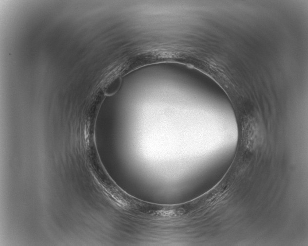 X0000057060406200509161457