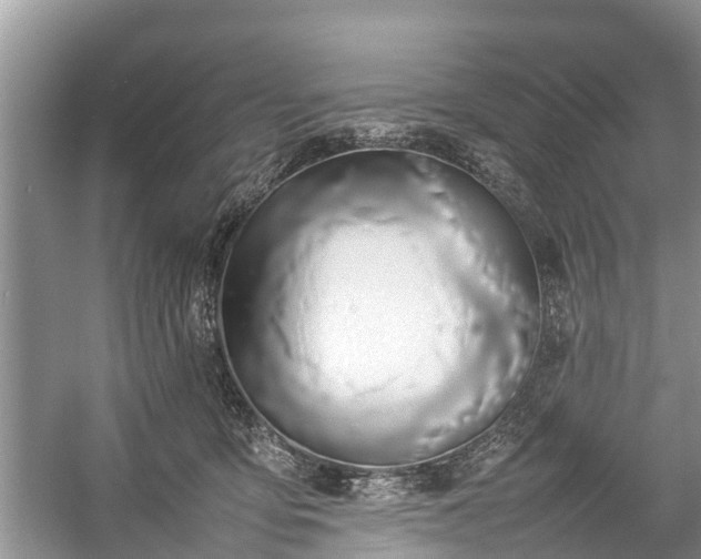 X0000057060419200509161457