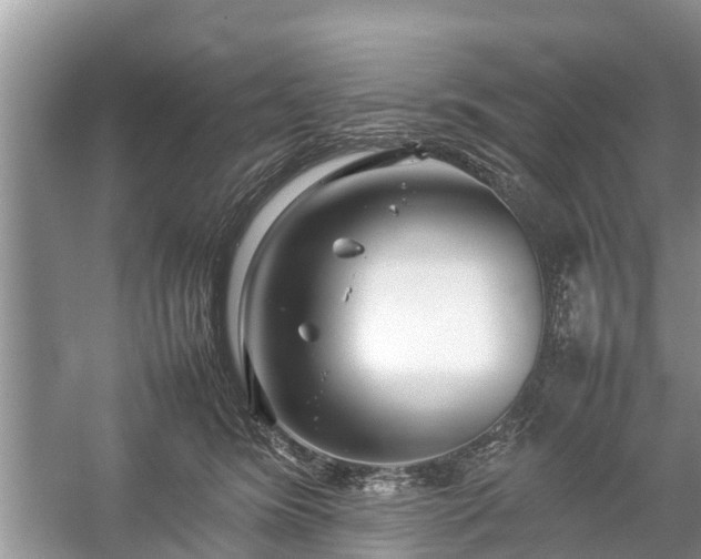 X0000057060420200509161457